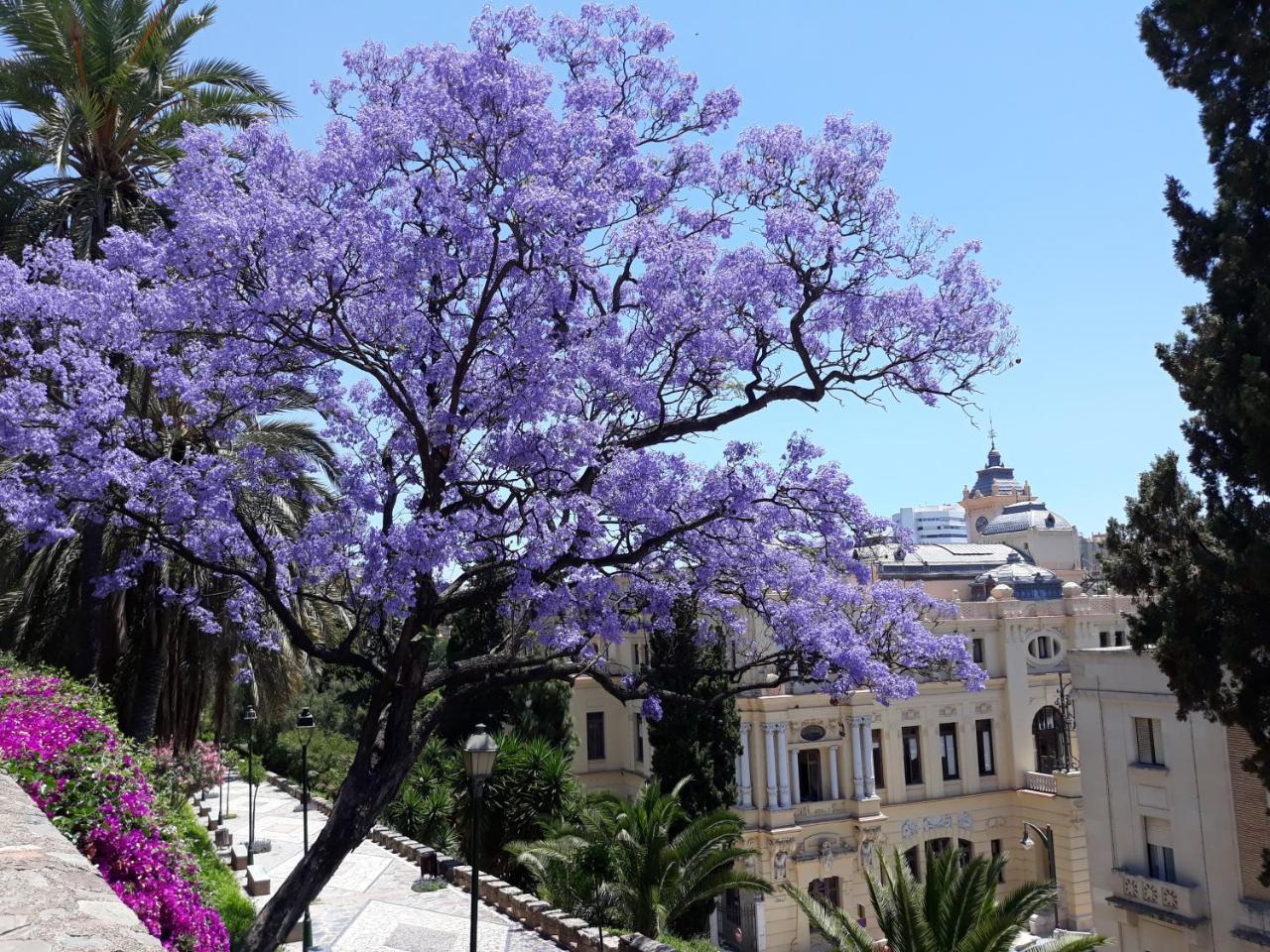 Stay Home & Away In The Heart Of Historical Town Of Malaga Zewnętrze zdjęcie